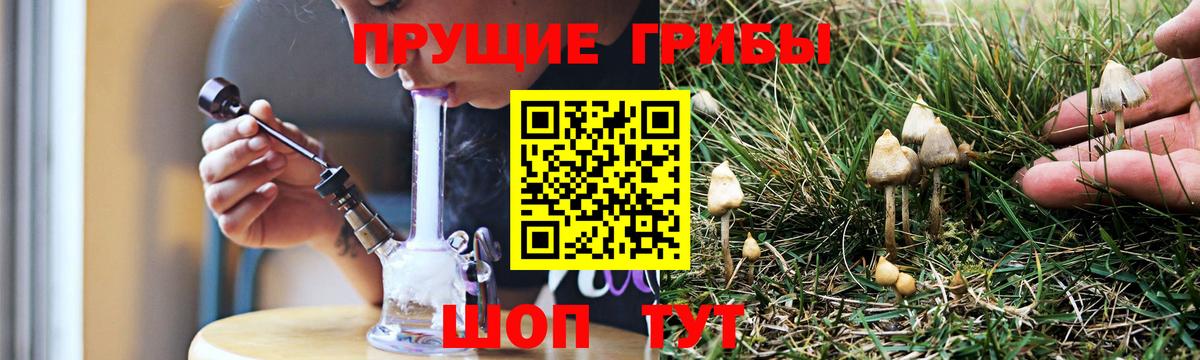 наркошоп  Псилоцибиновые грибы прущие грибы  Вход с VPN  Каспийск 