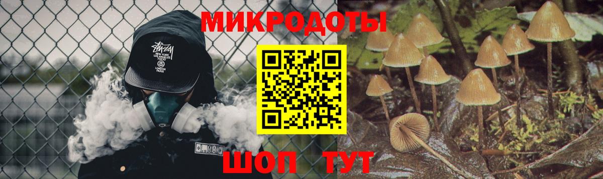 Галлюциногенные грибы мицелий Каспийск